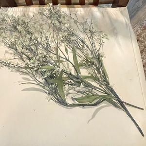 White flowers for decorating